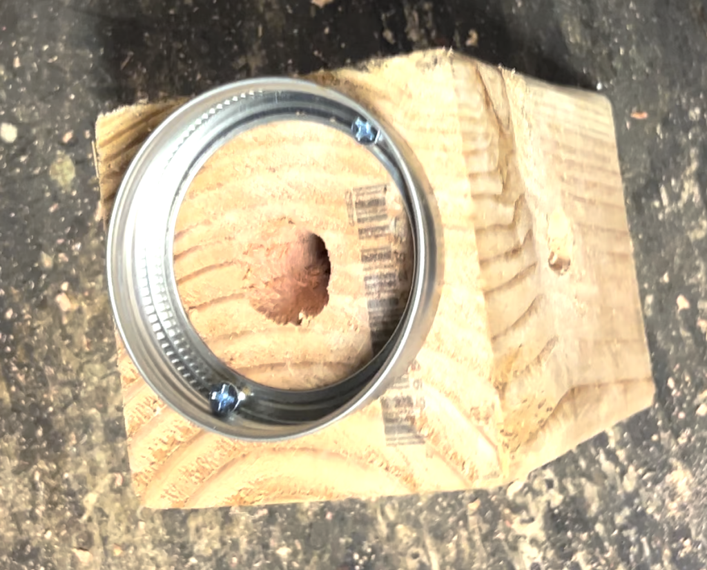 screw lid on carpenter bee trap
